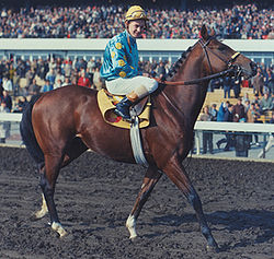 Northern Dancer Race Horse